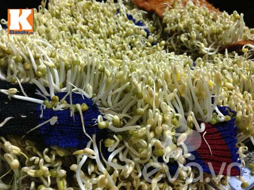Tự làm giá sạch cho con: quá dễ - 7