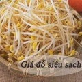 Làm mẹ - Tự làm giá sạch cho con: quá dễ