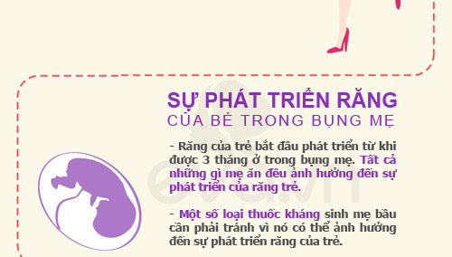Đừng để sảy thai chỉ vì sâu răng - 6