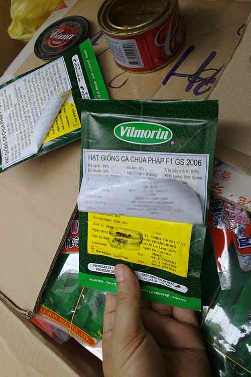 Bắt giữ hạt củ cải, su hào không ra củ chuẩn - 2