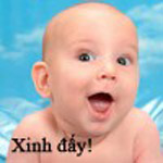 quot;Bác về dạy lại con bác đi nhé!quot; - 4