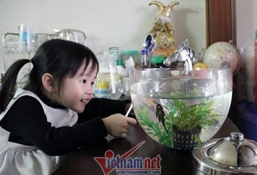 Thăm tổ ấm của tam ca nam hàng đầu VN - 8