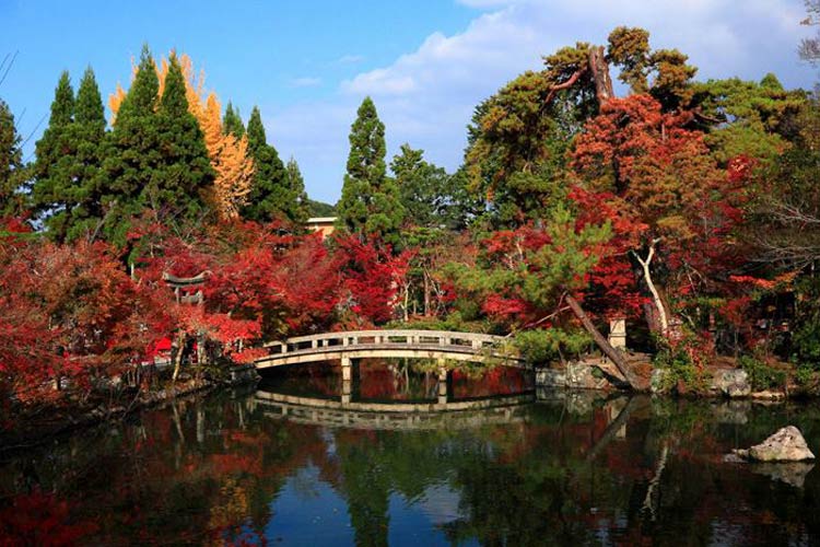 Thú thưởng ngoạn theo dõi sự đổi màu của lá phong về mùa thu được người Nhật gọi là “momijigari”.
