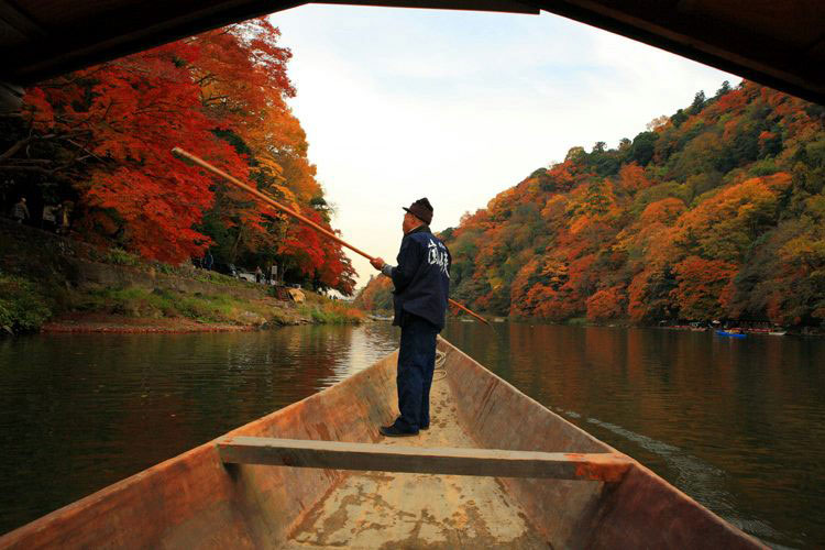 Rừng cây đang chuyển mình sang màu đỏ trên con sông ở vùng ngoại ô Arashiyama, Kyoto, Nhật Bản.
