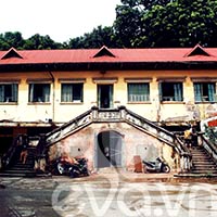 Sân trong: Lá phổi xanh của mọi ngôi nhà - 8