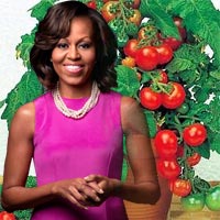 Chị em #039;phát sốt#039; mốt trồng dâu tây sạch - 8