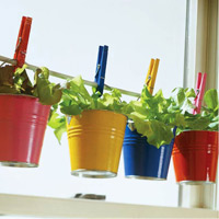 Chị em #039;phát sốt#039; mốt trồng dâu tây sạch - 9