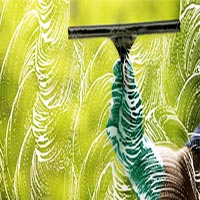 13 công dụng tuyệt hay của dưa chuột - 16