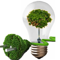 13 công dụng tuyệt hay của dưa chuột - 17