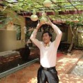 Làng sao - Hoài Linh đi hái hồ lô giữa trưa nắng