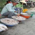Tin tức - Mực to như quyển vở giá 40 ngàn/kg trên vỉa hè