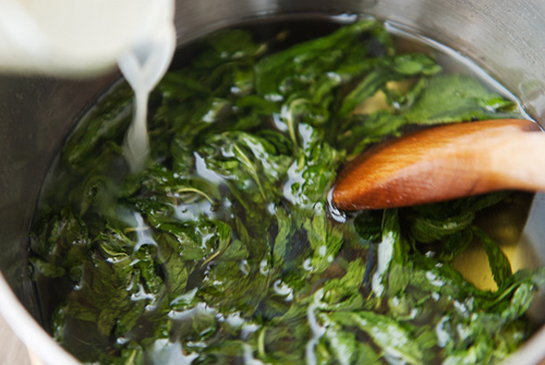 Si rô chanh bạc hà giải nhiệt - 4