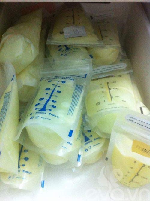 Học mẹ jinjin vắt sữa chất đầy tủ lạnh