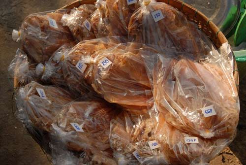 Mực khô rớt giá 50%, ngư dân không dám ra khơi - 1