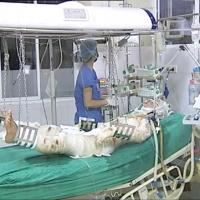 Vụ máy bay rơi: Sức khỏe 3 chiến sĩ bị thương đều xấu