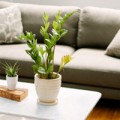 Nhà đẹp - 6 cách làm mới phòng khách ít tốn kém