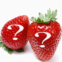 Cách rã đông thực phẩm chỉ 5 phút - 11