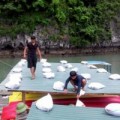 Tin tức - Quảng Ninh: Đưa dân lên hang động tránh bão Thần Sấm