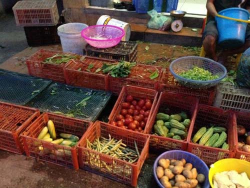 HN: quot;Cháyquot; hàng rau xanh trước giờ bão đổ bộ - 1