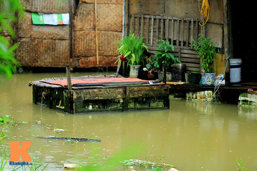 Làng vạn chài bên sông Hồng chống lũ - 5