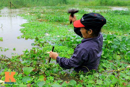 Làng vạn chài bên sông Hồng chống lũ - 12