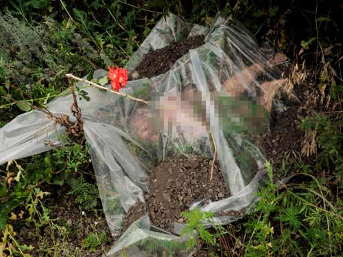 Ám ảnh khung cảnh #039;nghĩa địa MH17#039; - 6