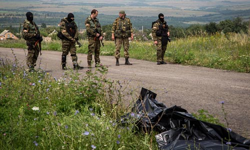 Vụ MH17: Mẹ cầu xin Putin trả lại thi thể con - 2