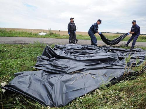 Vụ MH17: Mẹ cầu xin Putin trả lại thi thể con - 1