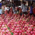 Mua sắm - Giá cả - Trái cây cuối mùa, hút hàng tăng giá nóng