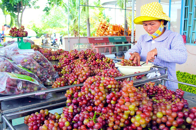 .... sau đó công nhân sẽ đóng gói theo trọng lượng quy định sẵn. 
