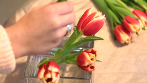 Mẹo cắm hoa siêu dễ với băng dính