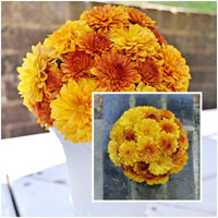 Mẹo cắm hoa siêu dễ với băng dính - 12