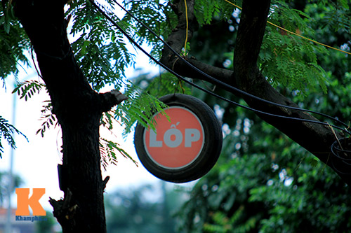 #039;Cây quảng cáo#039; miễn phí ở Hà Nội - 7