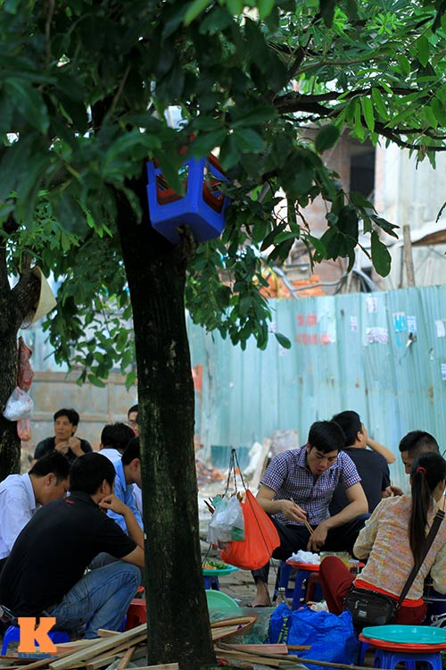 #039;Cây quảng cáo#039; miễn phí ở Hà Nội - 12