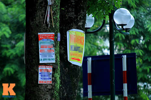 #039;Cây quảng cáo#039; miễn phí ở Hà Nội - 2