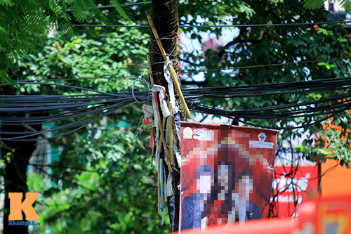 #039;Cây quảng cáo#039; miễn phí ở Hà Nội - 3