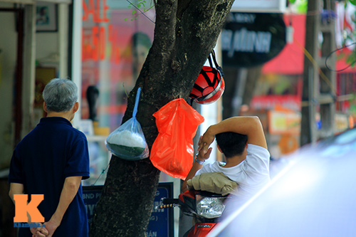 #039;Cây quảng cáo#039; miễn phí ở Hà Nội - 6