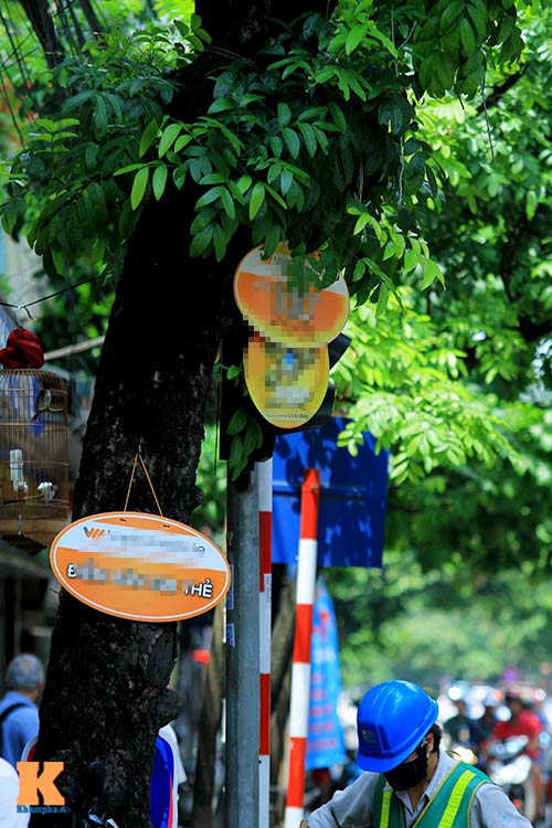 #039;Cây quảng cáo#039; miễn phí ở Hà Nội - 9