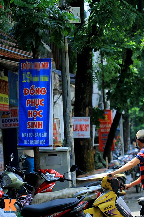 #039;Cây quảng cáo#039; miễn phí ở Hà Nội - 10