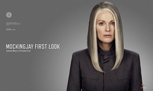 The Hunger Games tung poster chim húng nhại rực lửa - 1
