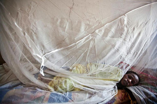 Dịch sốt rét kháng thuốc bùng phát ở Đông Nam Á - 2