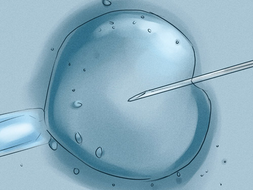 ‘Rỉ tai’ chiêu tăng cơ hội mang thai đôi - 8