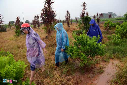 Bố mẹ chị Huyền đội mưa thắp hương ở mộ con gái - 7