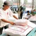 Mua sắm - Giá cả - Gạo Việt sẽ thống lĩnh thị trường trong nhiều tháng tới?