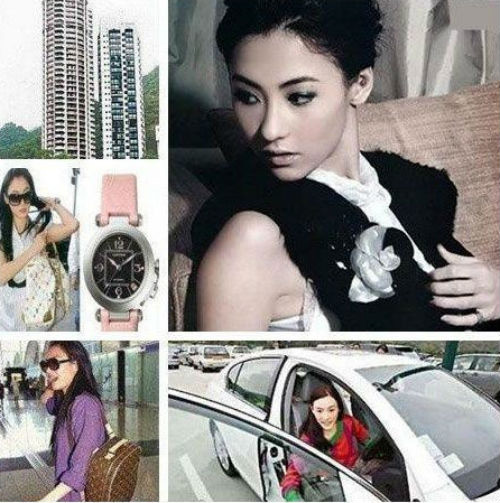 Khối tài sản đáng mơ ước của Trương Bá Chi - 1