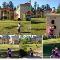 Khối tài sản đáng mơ ước của Trương Bá Chi - 16