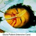 Tin tức - Vì sao Ebola là dịch bệnh nguy hiểm nhất hiện nay?