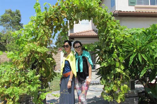 Hoài Linh “nhí nhố” hơn con trai Hoài Lâm - 4