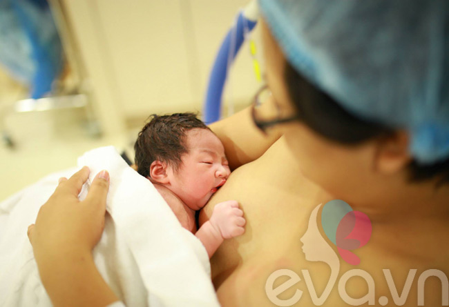 Ngay sau sinh nở, bé đã được bú những dòng sữa ấm nóng đầu tiên của mẹ.
