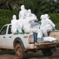 Tin tức - Bộ Y tế: Ebola hoàn toàn có thể lây lan vào Việt Nam